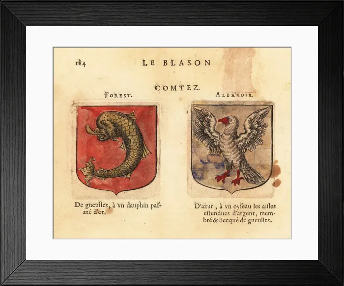 Framed Print : Coat of arms of the Counts of Forets and Albanois Framed Print : Coat of arms of the Counts of Forets and Albanois