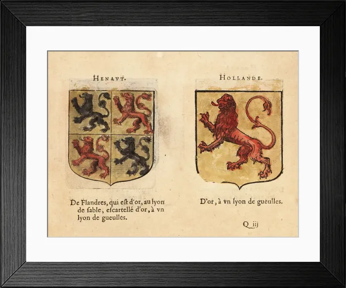 Framed Print : Coat of arms of the Counts of Hainaut and Holland Framed Print : Coat of arms of the Counts of Hainaut and Holland
