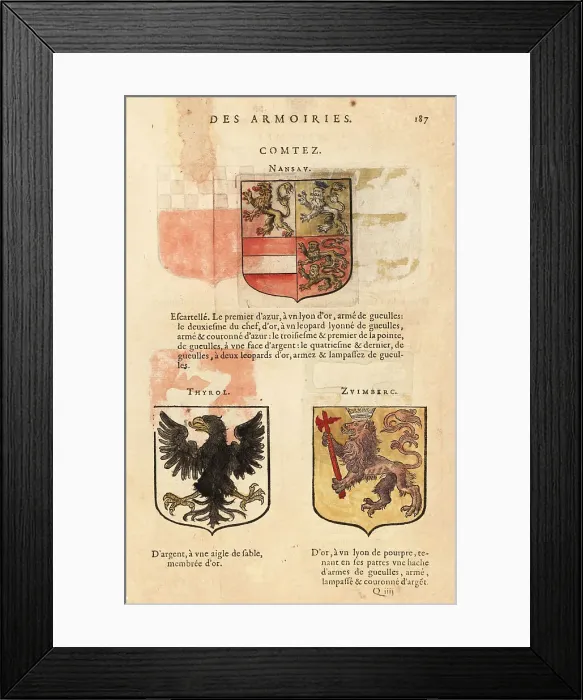 Framed Print : Coat of arms of the Counties of Nassau, Tyrol, and Zuimberc Framed Print : Coat of arms of the Counties of Nassau, Tyrol, and Zuimberc