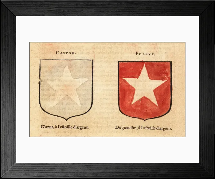 Framed Print : Imaginary coat of arms of the Dioscuri twins Castor and Pollux Framed Print : Imaginary coat of arms of the Dioscuri twins Castor and Pollux