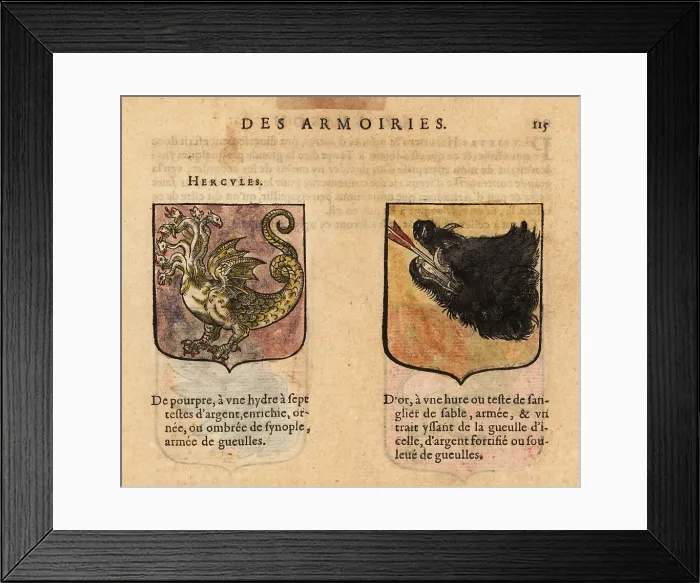 Framed Print : Imaginary coats of arms of Hercules and unknown blazon Framed Print : Imaginary coats of arms of Hercules and unknown blazon