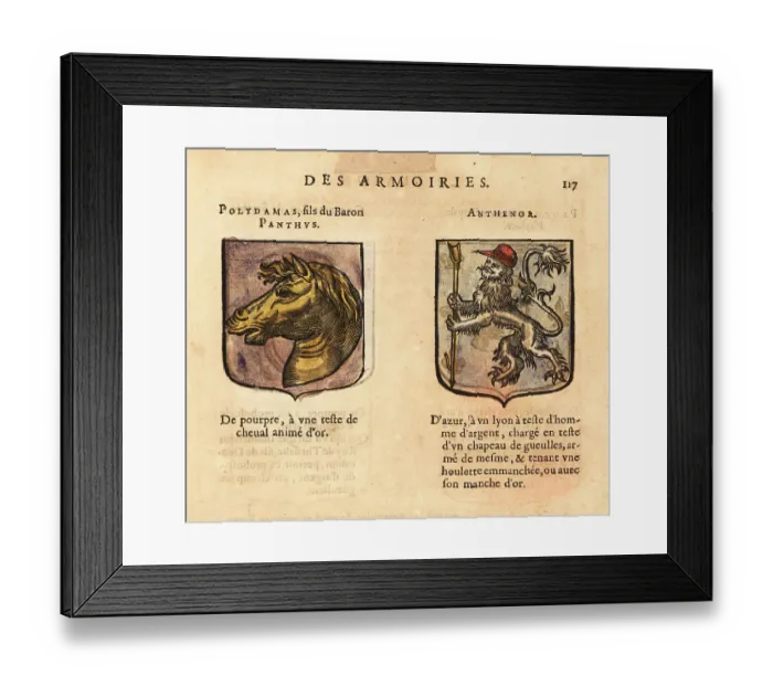 Framed Print : Coats of arms of Polydamas and Antenor Framed Print : Coats of arms of Polydamas and Antenor