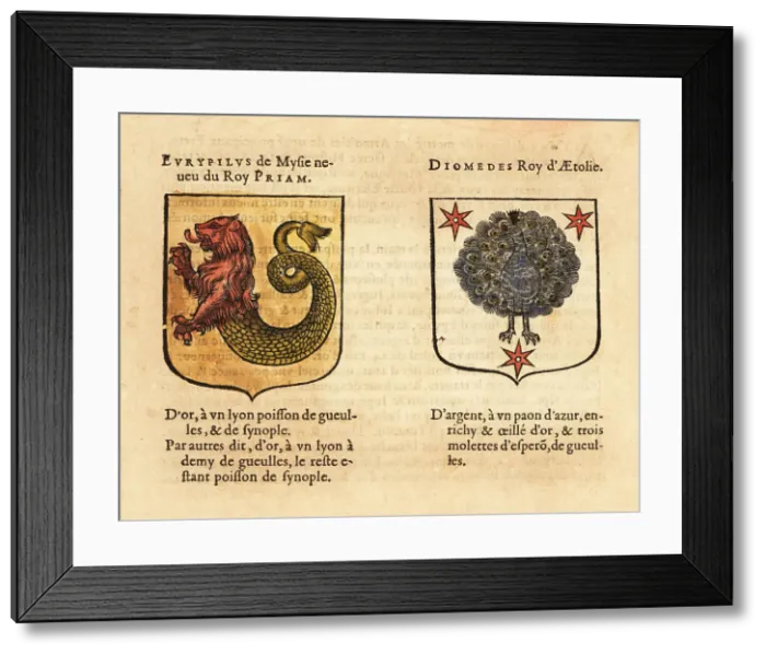 Framed Print : Imaginary coats of arms of Eurypylus of Mysia and Diomedes Framed Print : Imaginary coats of arms of Eurypylus of Mysia and Diomedes