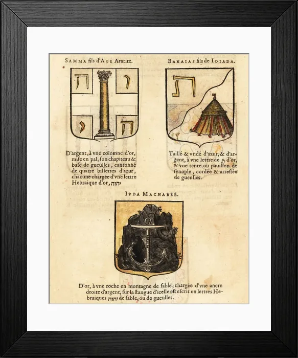Framed Print : Coats of arms of Biblical figures Shammah, Benaiah and Judah Mac Framed Print : Coats of arms of Biblical figures Shammah, Benaiah and Judah Mac