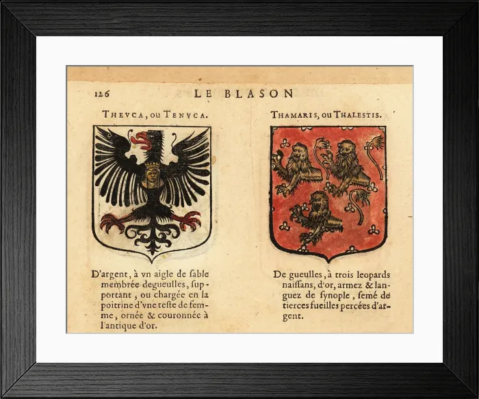 Framed Print : Coats of arms of Teuta, Queen of the Ardiaei, and Tomyris, Queen Framed Print : Coats of arms of Teuta, Queen of the Ardiaei, and Tomyris, Queen