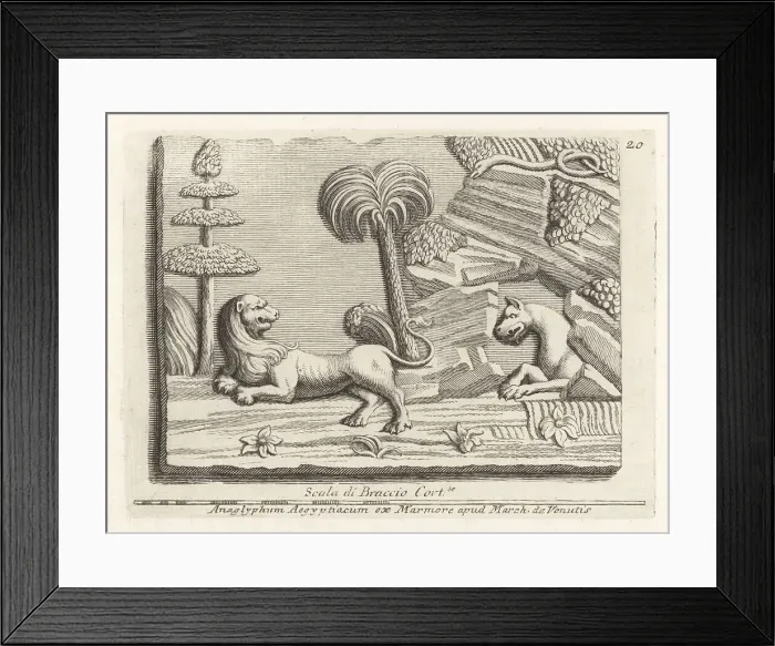 Framed Print : A panther emerging from a Libyan cave to attack a lion
