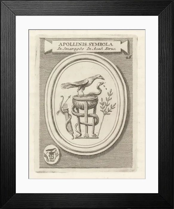 Framed Print : Symbols of the Greek god Apollo, Etruscan Apulu Framed Print : Symbols of the Greek god Apollo, Etruscan Apulu