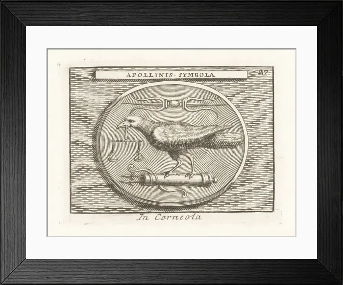Framed Print : Symbols of the Greek god Apollo, Etruscan Apulu Framed Print : Symbols of the Greek god Apollo, Etruscan Apulu