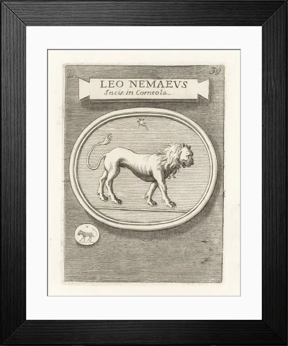 Framed Print : The Nemean lion slain by Heracles in Greek mythology Framed Print : The Nemean lion slain by Heracles in Greek mythology