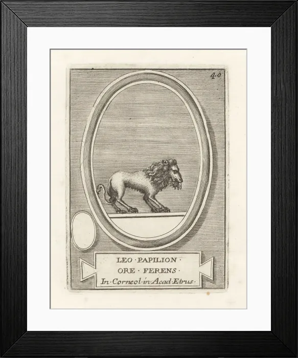 Framed Print : A lion holding a butterfly in its mouth Framed Print : A lion holding a butterfly in its mouth