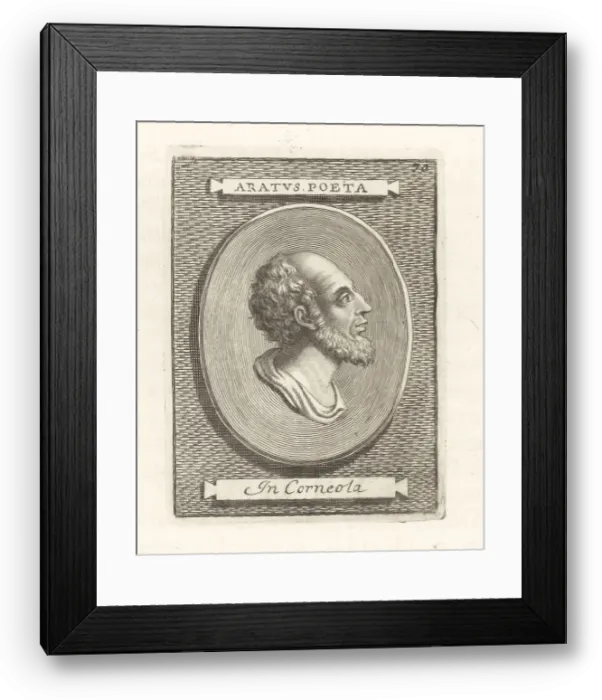 Framed Print : Aratus, Greek didactic poet, c.315-240 BC Framed Print : Aratus, Greek didactic poet, c.315-240 BC