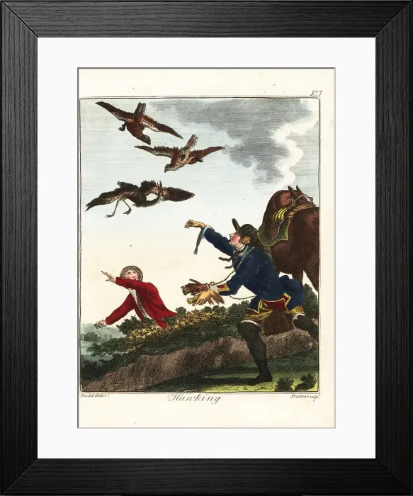 Framed Print : Hawking for heron, 18th century Framed Print : Hawking for heron, 18th century