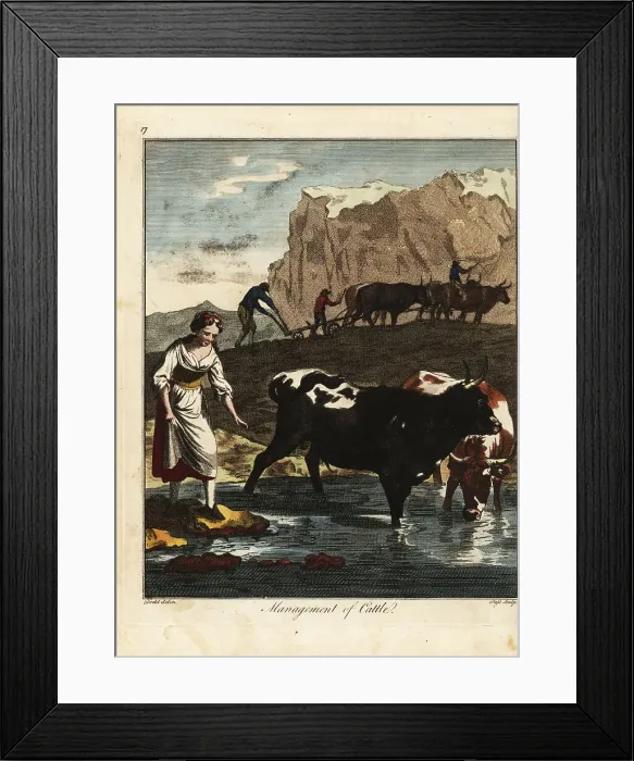 Framed Print : Dairy maid and farmers with cattle, 18th century Framed Print : Dairy maid and farmers with cattle, 18th century