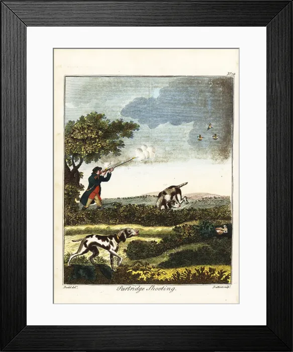 Framed Print : Partridge shooting, 18th century Framed Print : Partridge shooting, 18th century