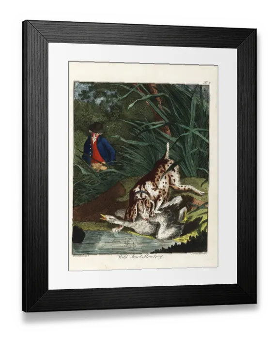 Framed Print : Wild fowl shooting, 18th century Framed Print : Wild fowl shooting, 18th century