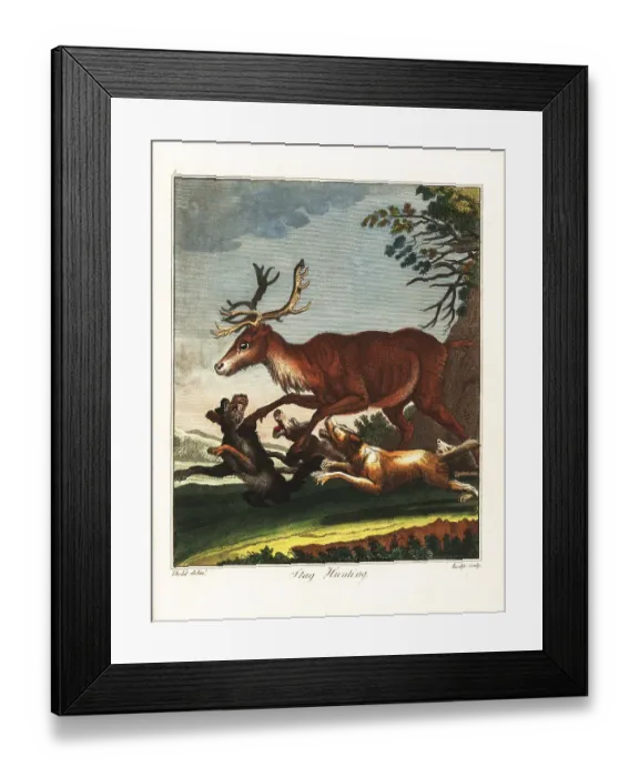 Framed Print : Stag hunting, 18th century Framed Print : Stag hunting, 18th century