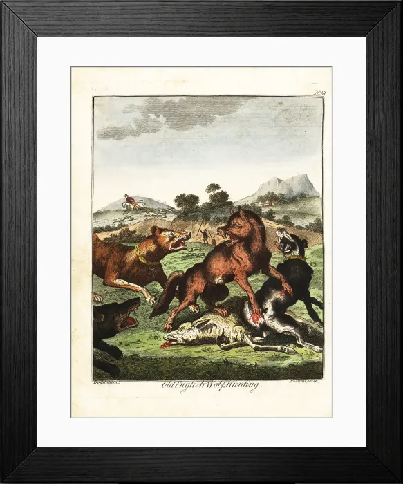 Framed Print : Old English wolf hunting Framed Print : Old English wolf hunting