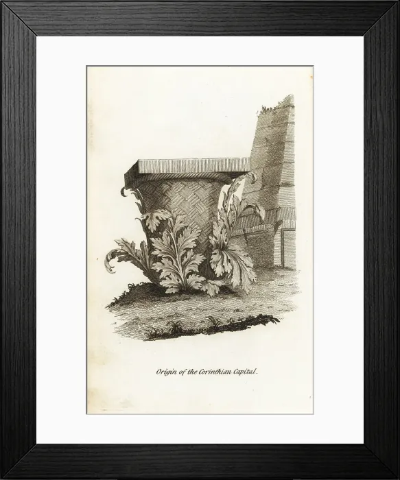Framed Print : The inspiration for Callimachus Corinthian capital Framed Print : The inspiration for Callimachus Corinthian capital
