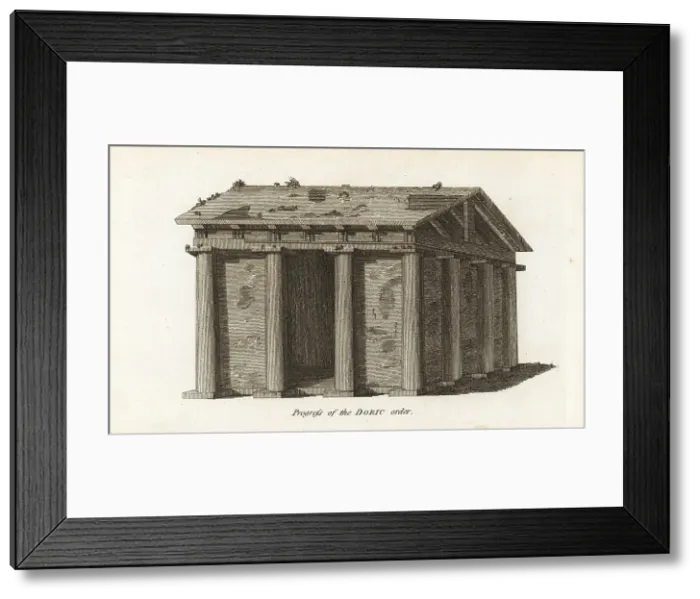 Framed Print : The development of the Doric order Framed Print : The development of the Doric order