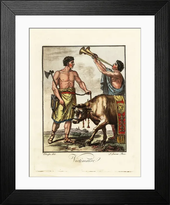 Framed Print : Victimarius, an assistant at a ritual sacrifice, ancient Rome Framed Print : Victimarius, an assistant at a ritual sacrifice, ancient Rome