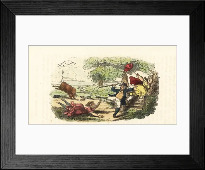 Framed Print : A family of botanists attacked by a charging bull in a field Framed Print : A family of botanists attacked by a charging bull in a field