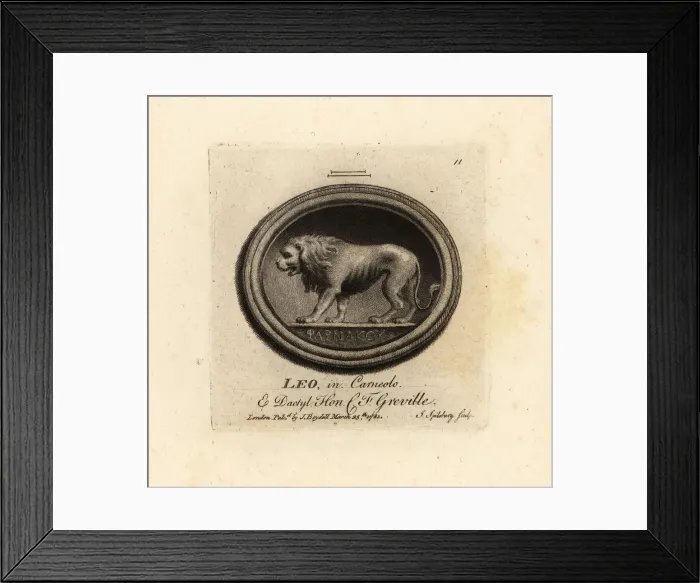 Framed Print : Lion in cornelian and dactylotheca Framed Print : Lion in cornelian and dactylotheca