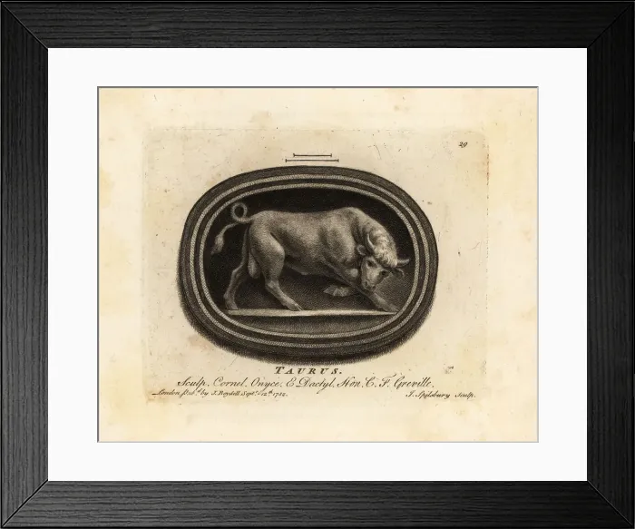 Framed Print : Figure of a charging bull. Taurus Framed Print : Figure of a charging bull. Taurus