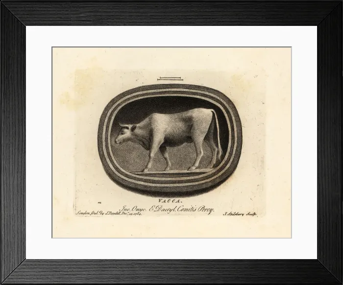 Framed Print : Figure of a cow