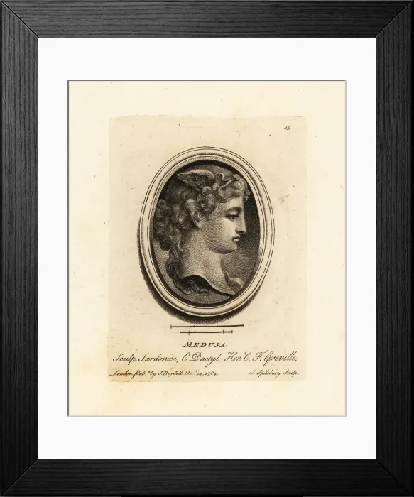 Framed Print : Bust of Medusa, a Gorgon with venomous snakes in her hair Framed Print : Bust of Medusa, a Gorgon with venomous snakes in her hair
