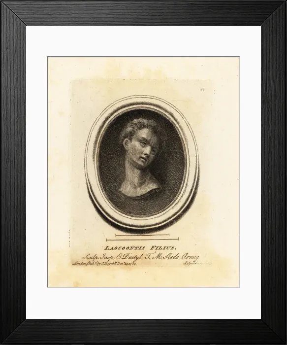 Framed Print : Bust of one of Laocoon's sons Framed Print : Bust of one of Laocoon's sons