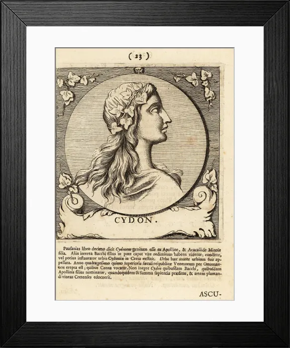 Framed Print : King Cydon of Crete Framed Print : King Cydon of Crete