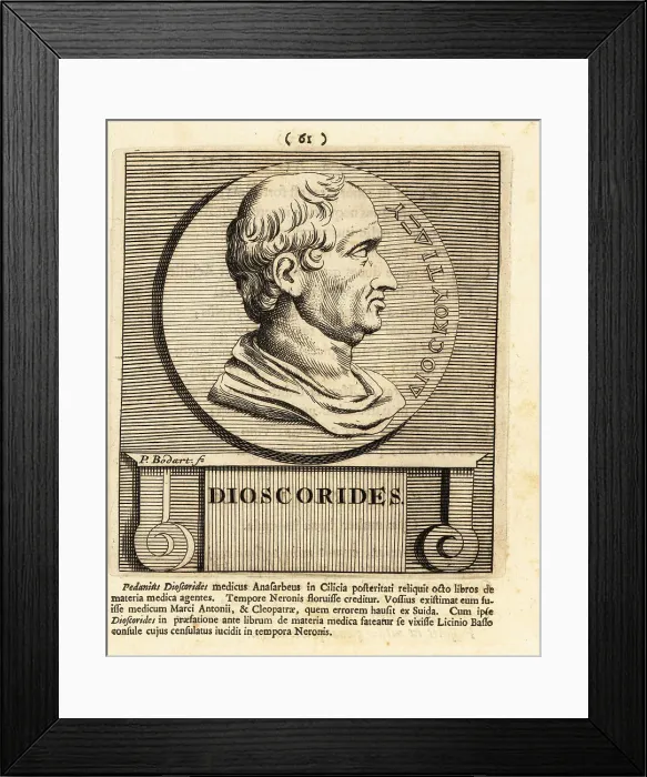 Framed Print : Pedanius Dioscorides, Greek physician, pharmacologist, botanist Framed Print : Pedanius Dioscorides, Greek physician, pharmacologist, botanist