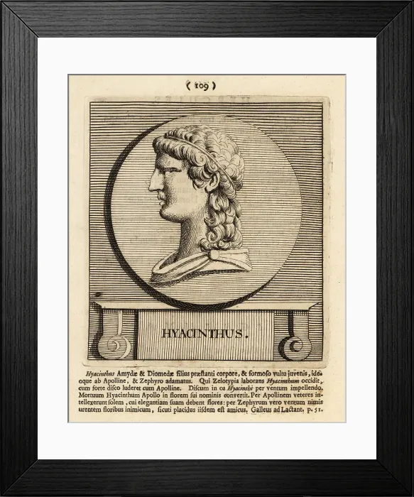 Framed Print : Hyacinth, divine hero and lover of Apollo from Greek mythology Framed Print : Hyacinth, divine hero and lover of Apollo from Greek mythology