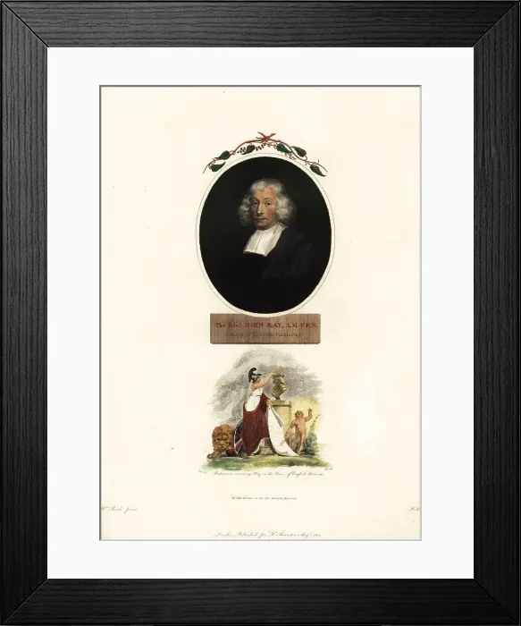 Framed Print : Reverend John Ray, naturalist and botanist Framed Print : Reverend John Ray, naturalist and botanist