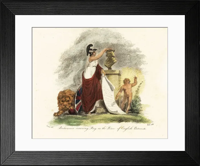 Framed Print : Britannia crowning John Ray as the Prince of English Botanists Framed Print : Britannia crowning John Ray as the Prince of English Botanists