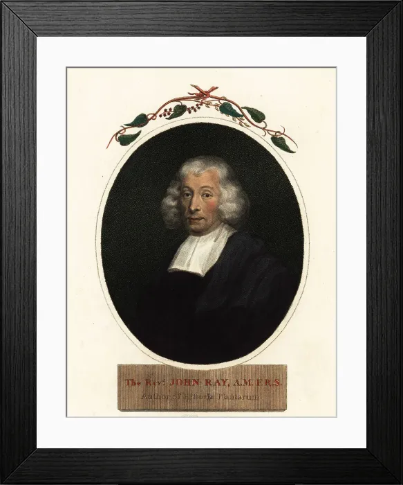 Framed Print : Reverend John Ray, naturalist and botanist Framed Print : Reverend John Ray, naturalist and botanist