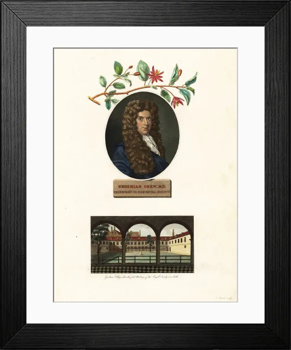 Framed Print : Portrait of Nehemiah Grew, physician and botanist Framed Print : Portrait of Nehemiah Grew, physician and botanist