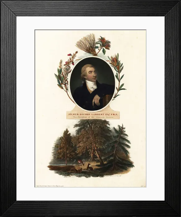 Framed Print : Portrait of Aylmer Bourke Lambert, botanist Framed Print : Portrait of Aylmer Bourke Lambert, botanist