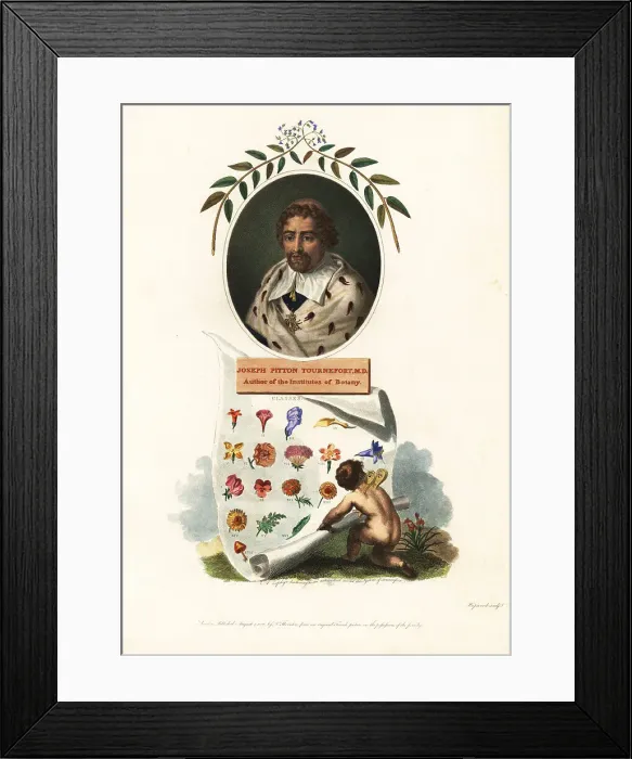 Framed Print : Portrait of Joseph Pitton de Tournefort, French botanist Framed Print : Portrait of Joseph Pitton de Tournefort, French botanist
