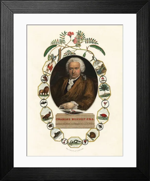 Framed Print : Portrait of Charles Bonnet, Genevan naturalist Framed Print : Portrait of Charles Bonnet, Genevan naturalist