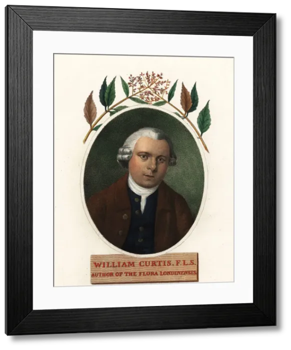Framed Print : Oval portrait of William Curtis, botanist and publisher Framed Print : Oval portrait of William Curtis, botanist and publisher