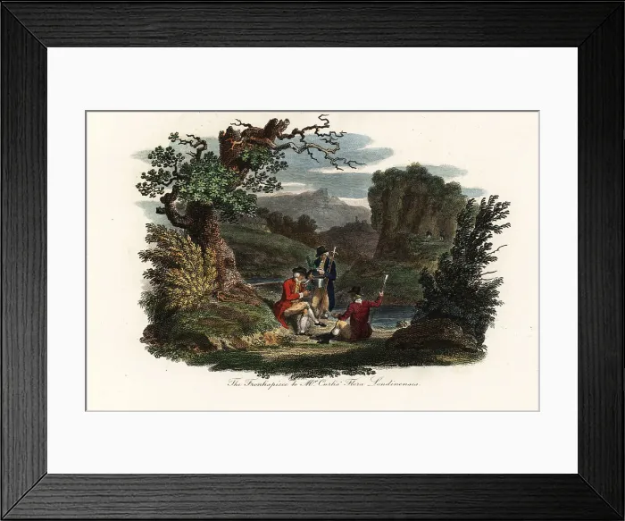 Framed Print : William Curtis collecting plant specimens, 18th century Framed Print : William Curtis collecting plant specimens, 18th century