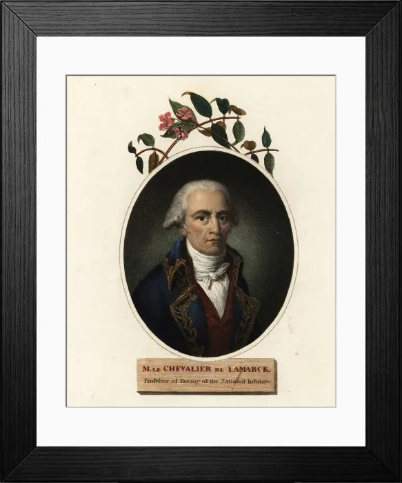 Framed Print : Oval portrait of Jean-Baptiste Lamarck, French naturalist Framed Print : Oval portrait of Jean-Baptiste Lamarck, French naturalist