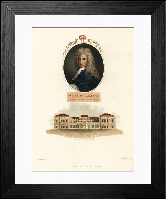 Framed Print : Portrait of Sebastian Vaillant, French botanist, 1669-1722 Framed Print : Portrait of Sebastian Vaillant, French botanist, 1669-1722