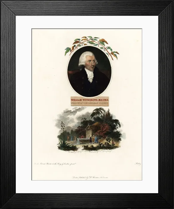 Framed Print : Portrait of William Withering, physician and botanist, 1741-1799 Framed Print : Portrait of William Withering, physician and botanist, 1741-1799