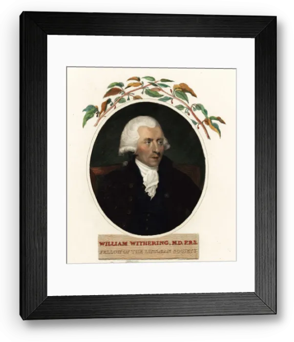 Framed Print : Portrait of William Withering, physician and botanist, 1741-1799 Framed Print : Portrait of William Withering, physician and botanist, 1741-1799