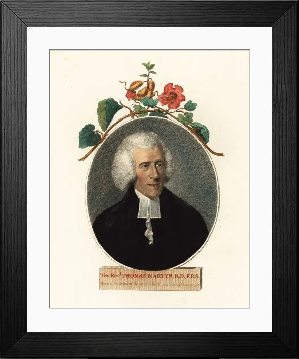 Framed Print : Thomas Martyn, Professor of Botany, Cambridge University Framed Print : Thomas Martyn, Professor of Botany, Cambridge University