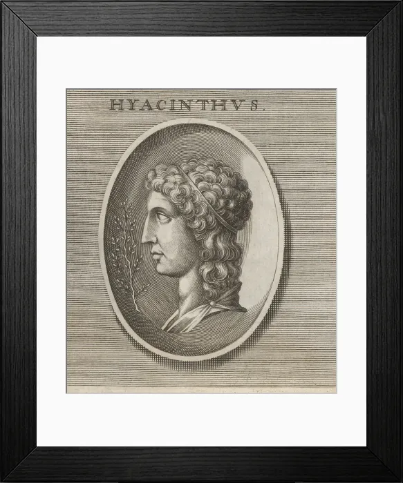 Framed Print : Hyacinthus, lover of Apollo in Greek mythology Framed Print : Hyacinthus, lover of Apollo in Greek mythology
