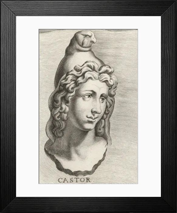 Framed Print : Castor, one of the Dioscuri in classical mythology Framed Print : Castor, one of the Dioscuri in classical mythology