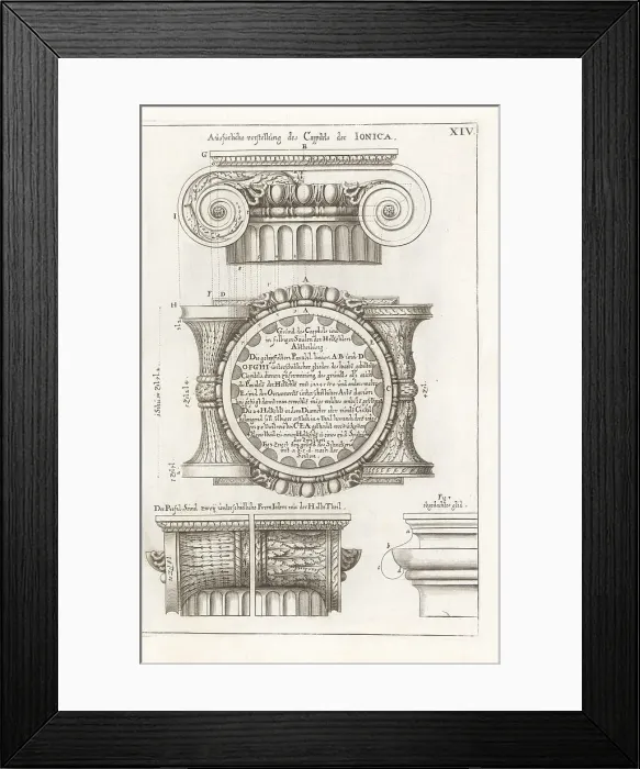Framed Print : Ionic order capital Framed Print : Ionic order capital